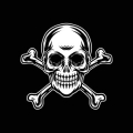 Skull & Bones™ Skull & Bones™ Logo