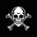 Skull & Bones™ Logo
