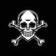 Skull & Bones™ Logo